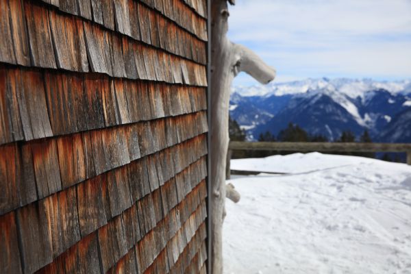 Cedar Siding Repair in Chesterfield